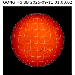 gong - 2025-09-11T01:00:02