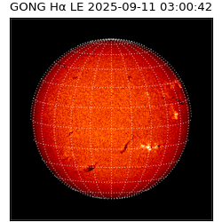 gong - 2025-09-11T03:00:42