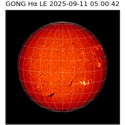 gong - 2025-09-11T05:00:42
