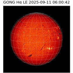gong - 2025-09-11T06:00:42