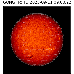 gong - 2025-09-11T09:00:22