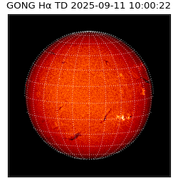 gong - 2025-09-11T10:00:22