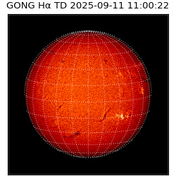 gong - 2025-09-11T11:00:22