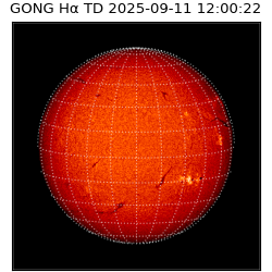 gong - 2025-09-11T12:00:22