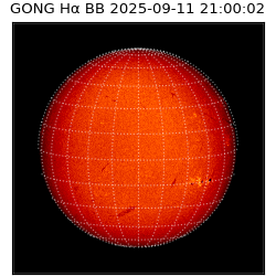 gong - 2025-09-11T21:00:02