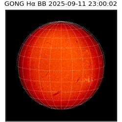gong - 2025-09-11T23:00:02
