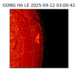 gong - 2025-09-12T03:00:42
