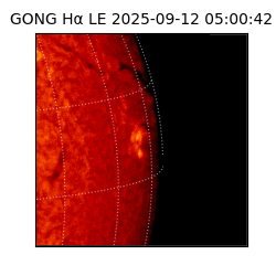 gong - 2025-09-12T05:00:42