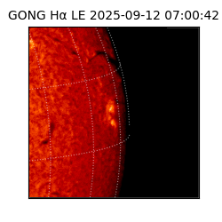 gong - 2025-09-12T07:00:42