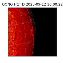 gong - 2025-09-12T10:00:22