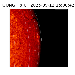 gong - 2025-09-12T15:00:42