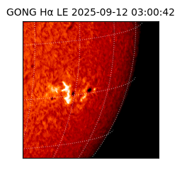 gong - 2025-09-12T03:00:42