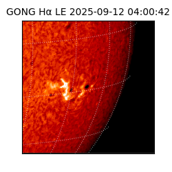 gong - 2025-09-12T04:00:42