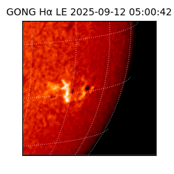 gong - 2025-09-12T05:00:42