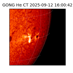 gong - 2025-09-12T16:00:42