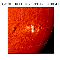 gong - 2025-09-12T03:00:42