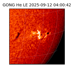 gong - 2025-09-12T04:00:42