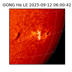 gong - 2025-09-12T06:00:42
