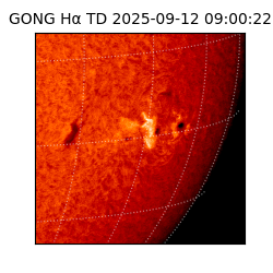 gong - 2025-09-12T09:00:22