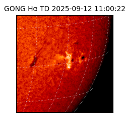 gong - 2025-09-12T11:00:22