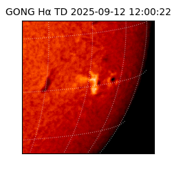 gong - 2025-09-12T12:00:22