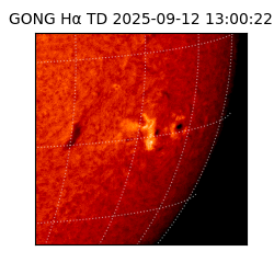 gong - 2025-09-12T13:00:22