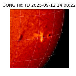 gong - 2025-09-12T14:00:22