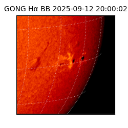 gong - 2025-09-12T20:00:02