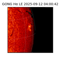 gong - 2025-09-12T04:00:42