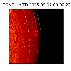 gong - 2025-09-12T09:00:22