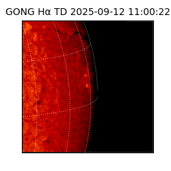 gong - 2025-09-12T11:00:22