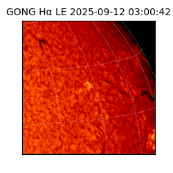 gong - 2025-09-12T03:00:42