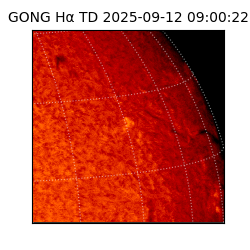 gong - 2025-09-12T09:00:22