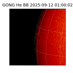 gong - 2025-09-12T01:00:02