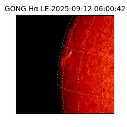 gong - 2025-09-12T06:00:42