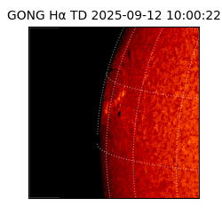 gong - 2025-09-12T10:00:22