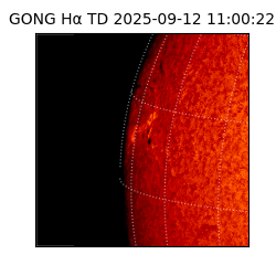 gong - 2025-09-12T11:00:22