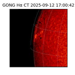 gong - 2025-09-12T17:00:42