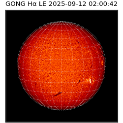 gong - 2025-09-12T02:00:42