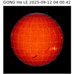 gong - 2025-09-12T04:00:42