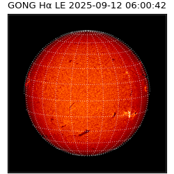 gong - 2025-09-12T06:00:42