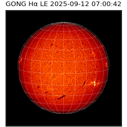 gong - 2025-09-12T07:00:42