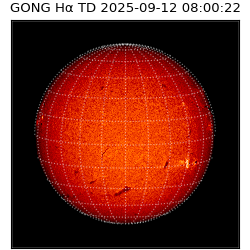 gong - 2025-09-12T08:00:22