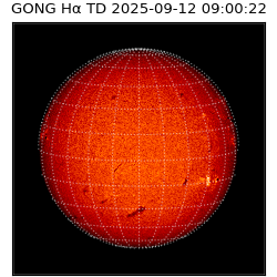 gong - 2025-09-12T09:00:22