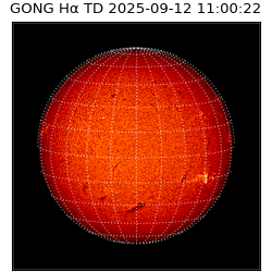 gong - 2025-09-12T11:00:22