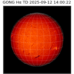 gong - 2025-09-12T14:00:22