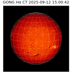 gong - 2025-09-12T15:00:42