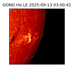 gong - 2025-09-13T03:00:42