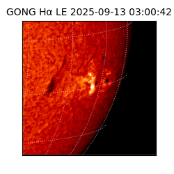 gong - 2025-09-13T03:00:42