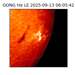 gong - 2025-09-13T06:05:42